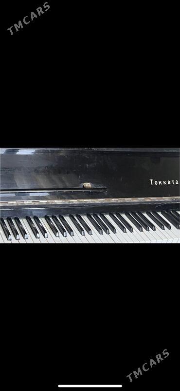 Pianina - Балканабат - img 2