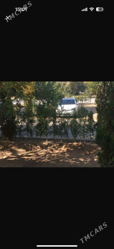 9 mikr ️3 komnat 1- etaž - Aşgabat - img 2