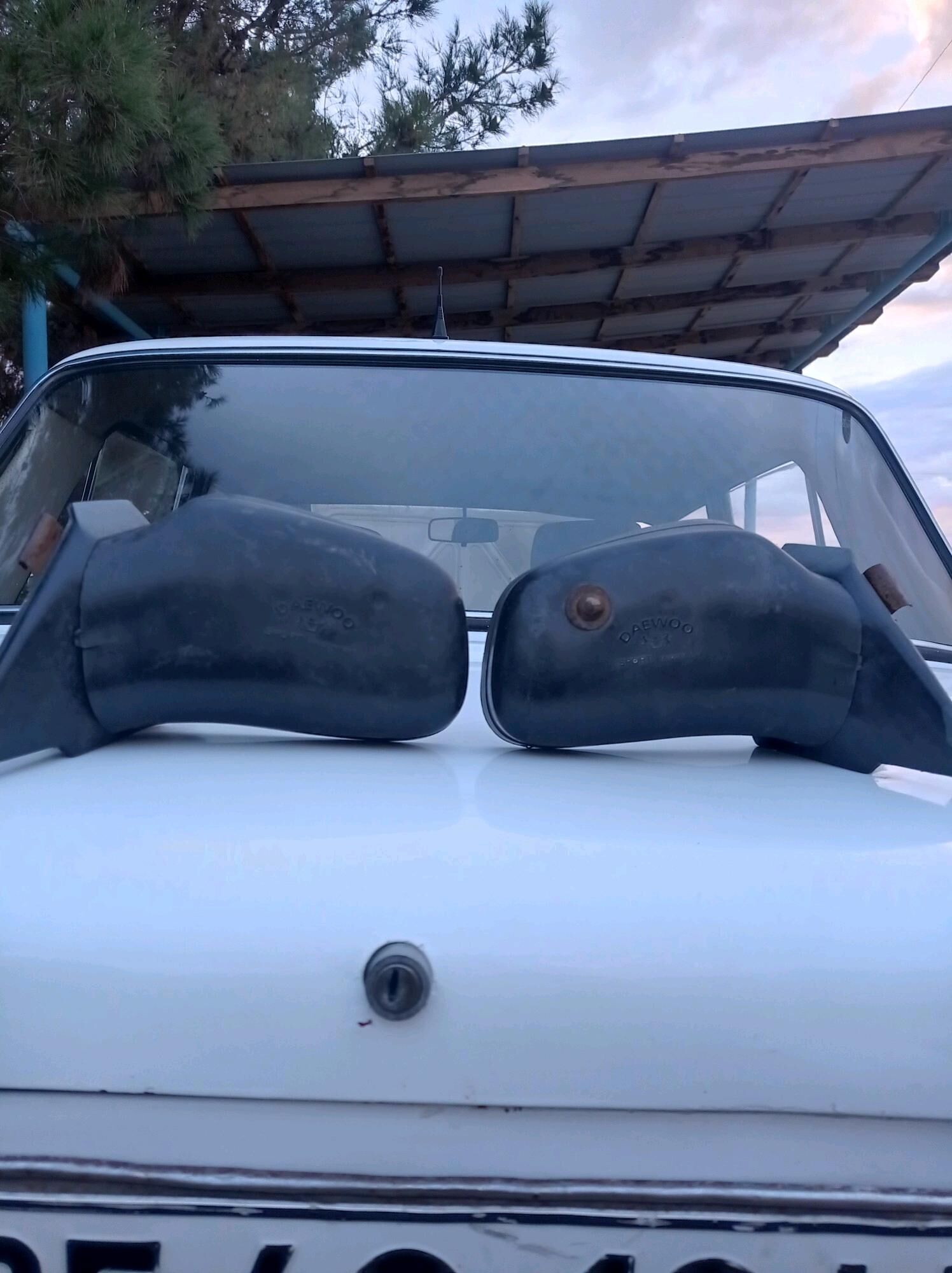 Lada zadnywid 100 TMT - Дянев - img 2