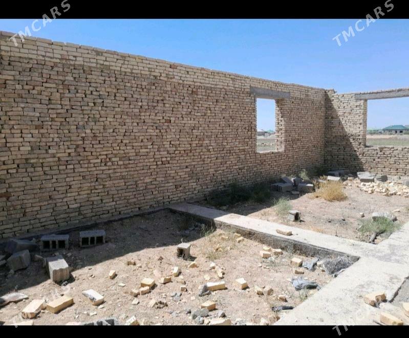 9 kamsar - Анев - img 9