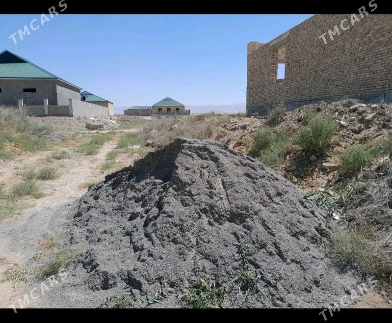 9 kamsar - Анев - img 7