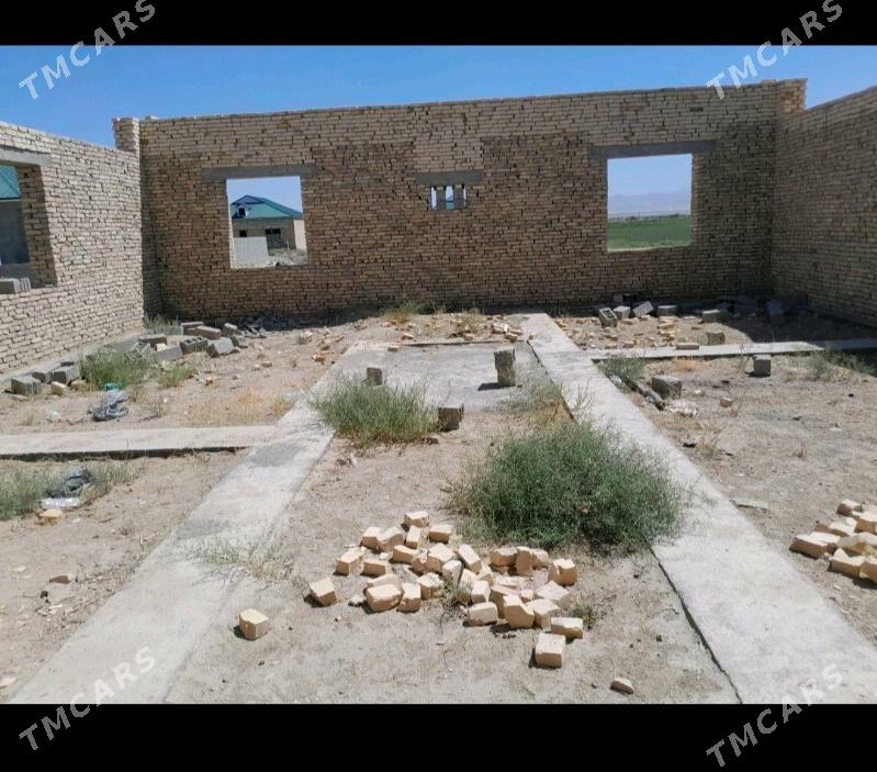 9 kamsar - Анев - img 10