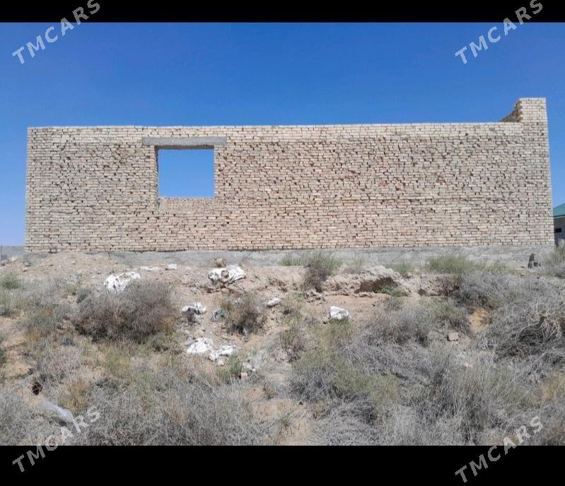 9 kamsar - Анев - img 2