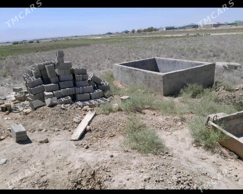 9 kamsar - Анев - img 6