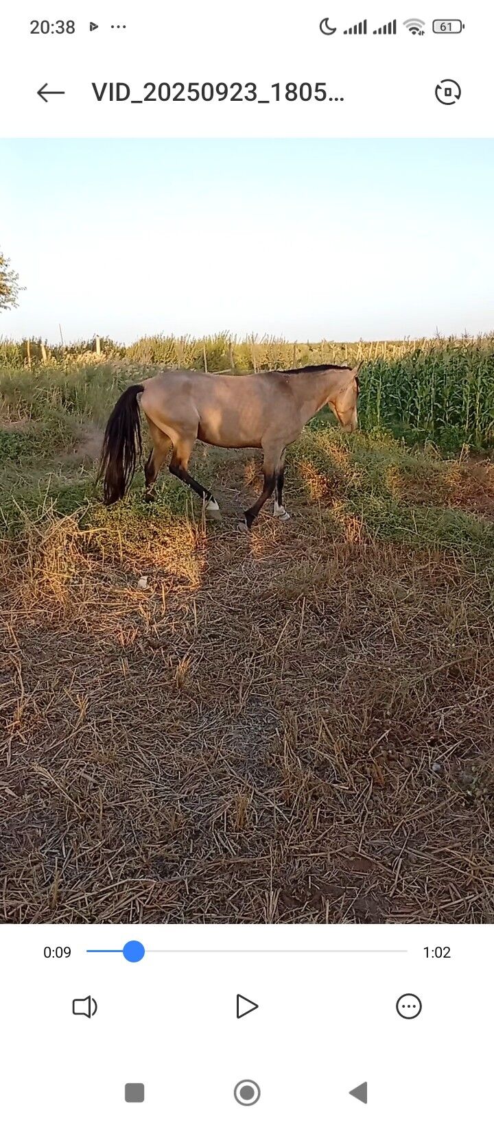 AtAtAtAt - Sakar - img 4