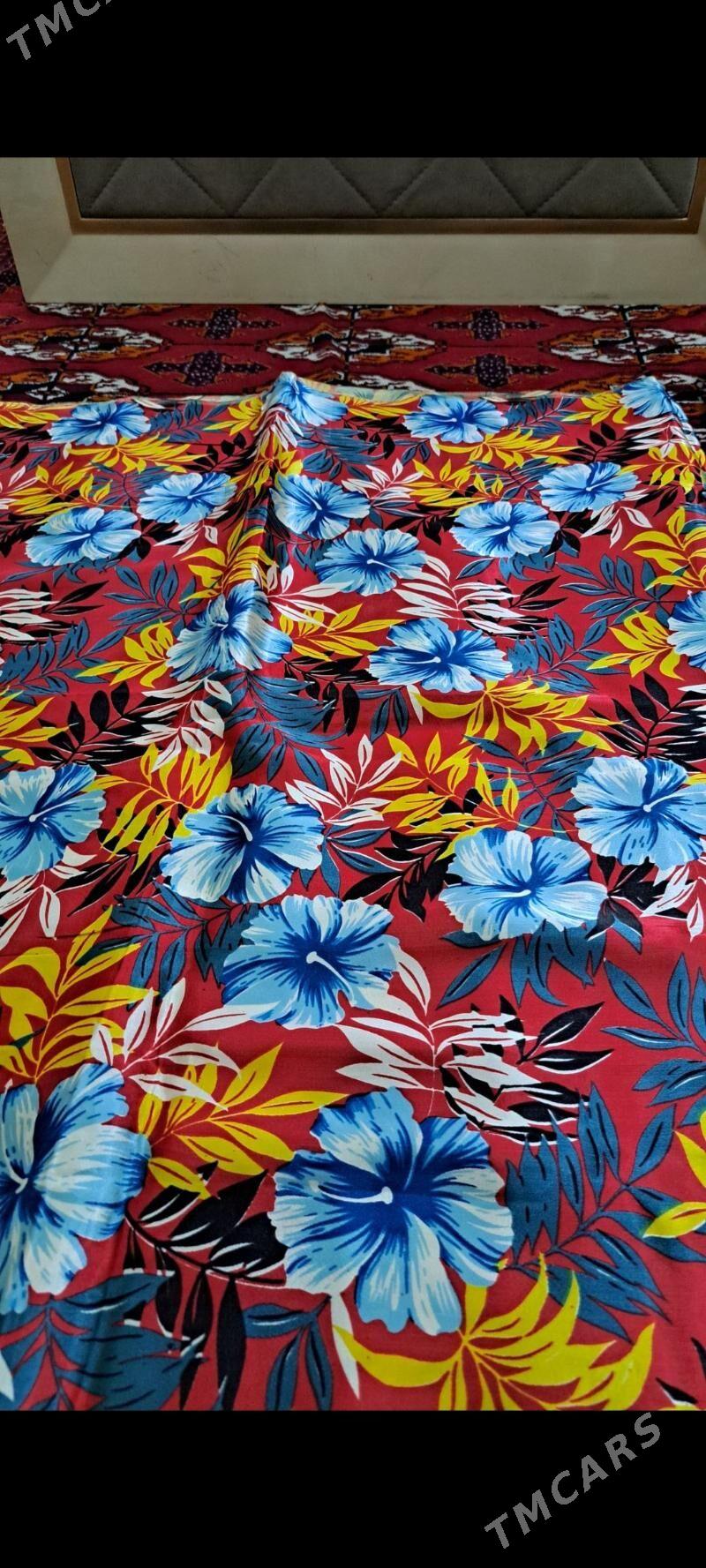 Gadymy Ayna atlaz - Büzmeýin GRES - img 4