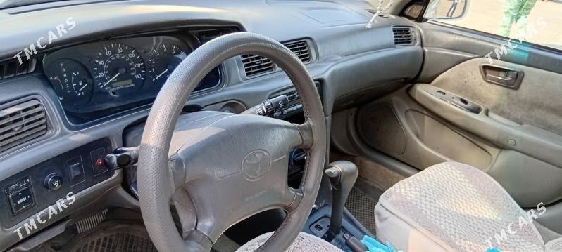Toyota Camry 1999 - 132 000 TMT - Векильбазар - img 4