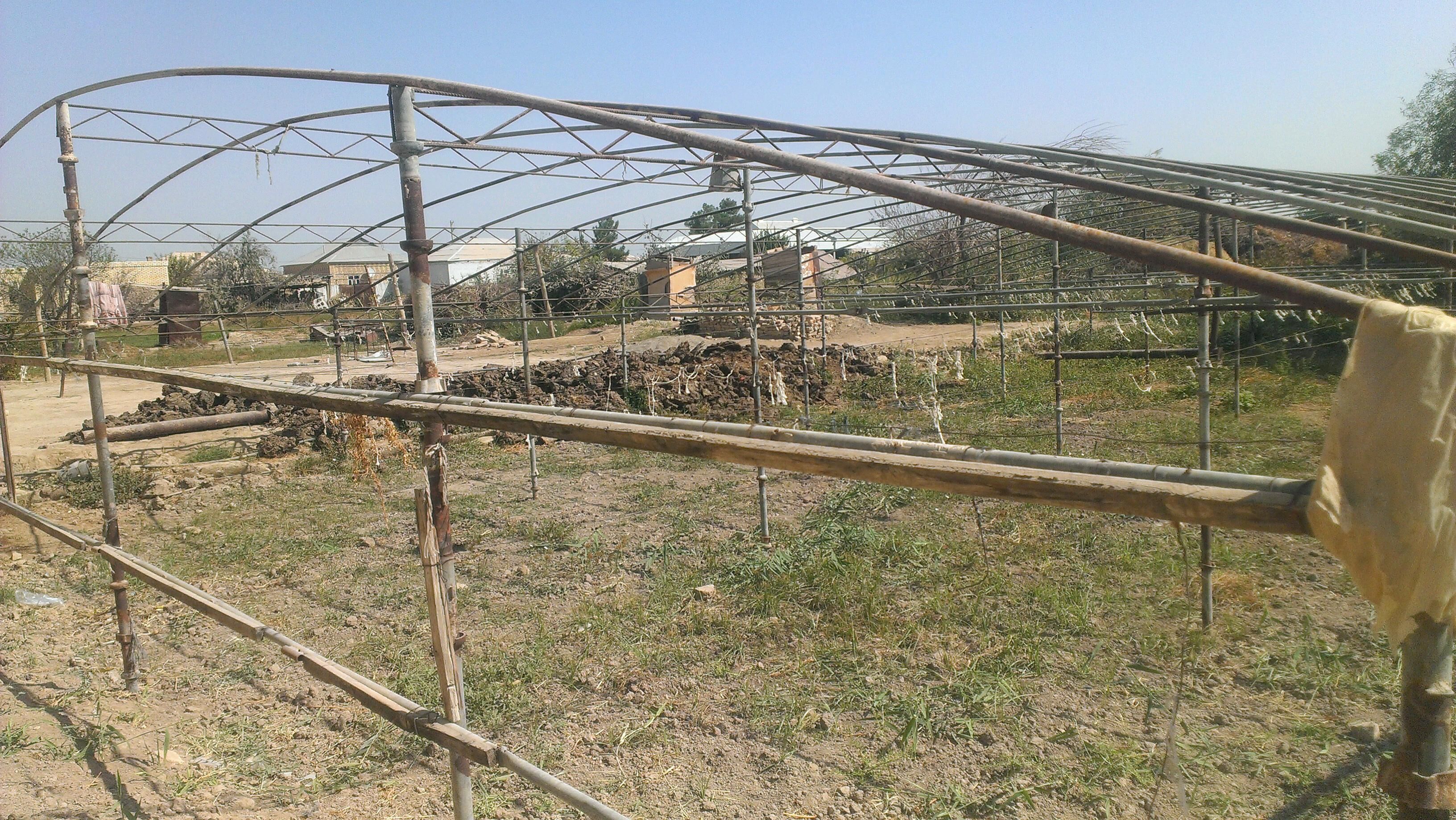 parnik - Murgap - img 5