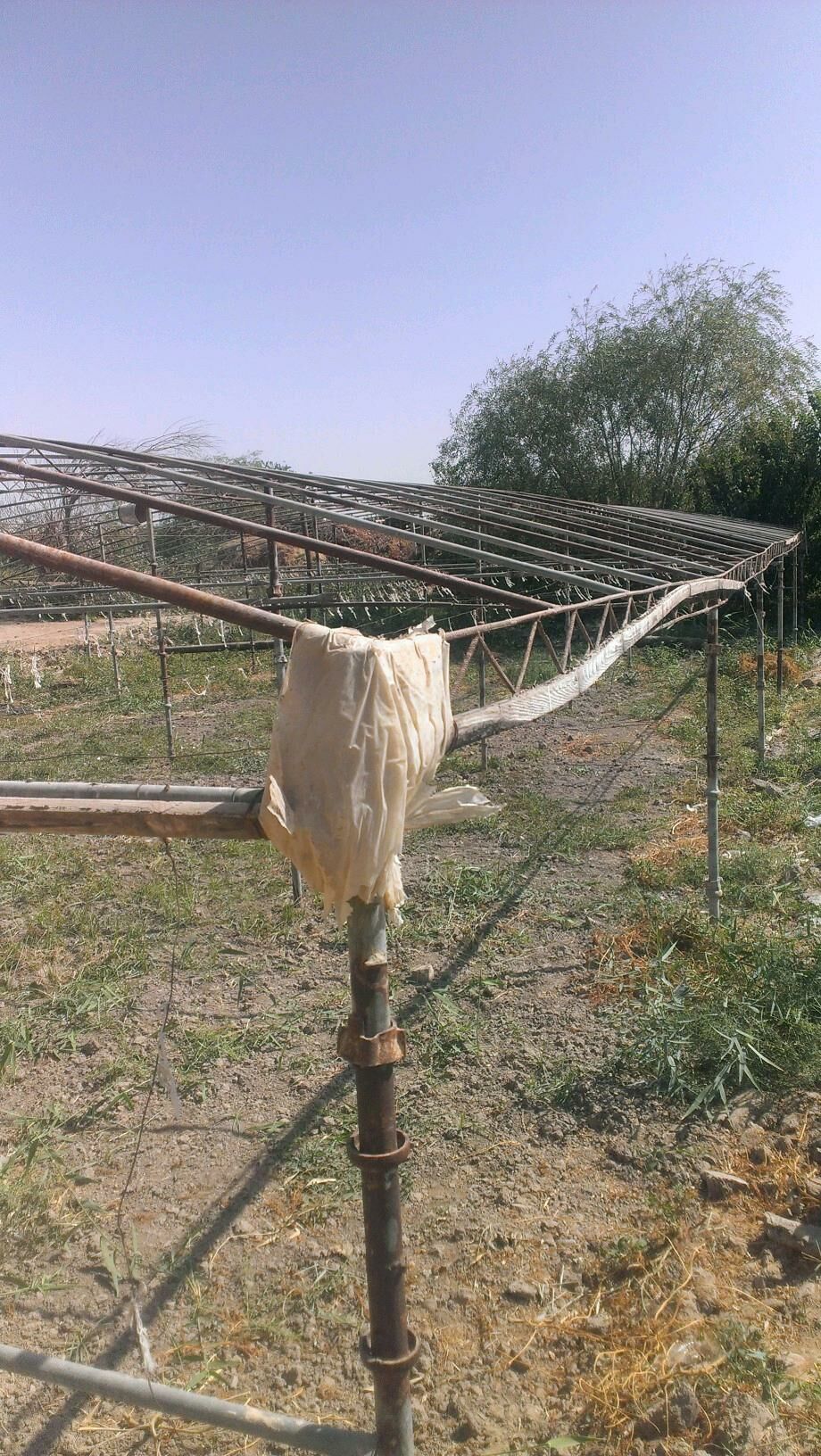 parnik - Murgap - img 4