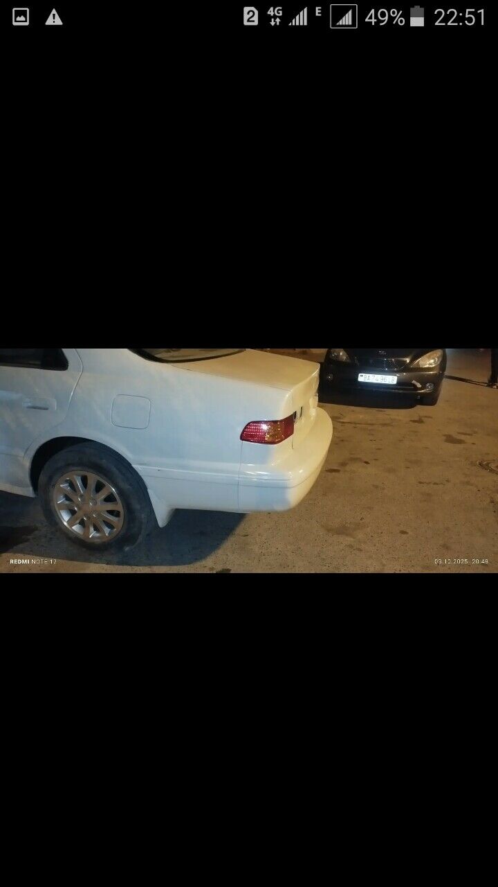 Babocka HALIJI molding 500 TMT - Mary - img 8