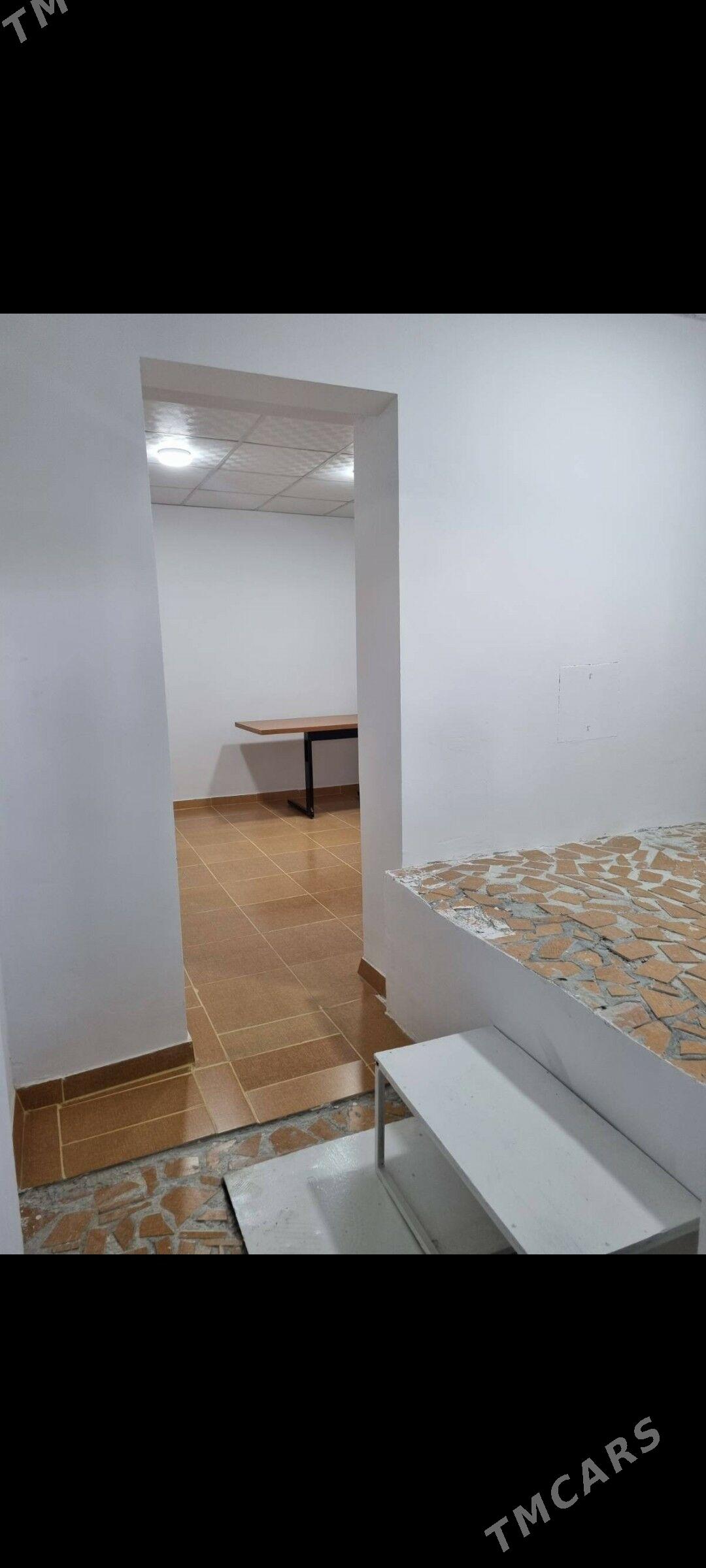 Polpodwal mir3 - Мир 3 - img 2