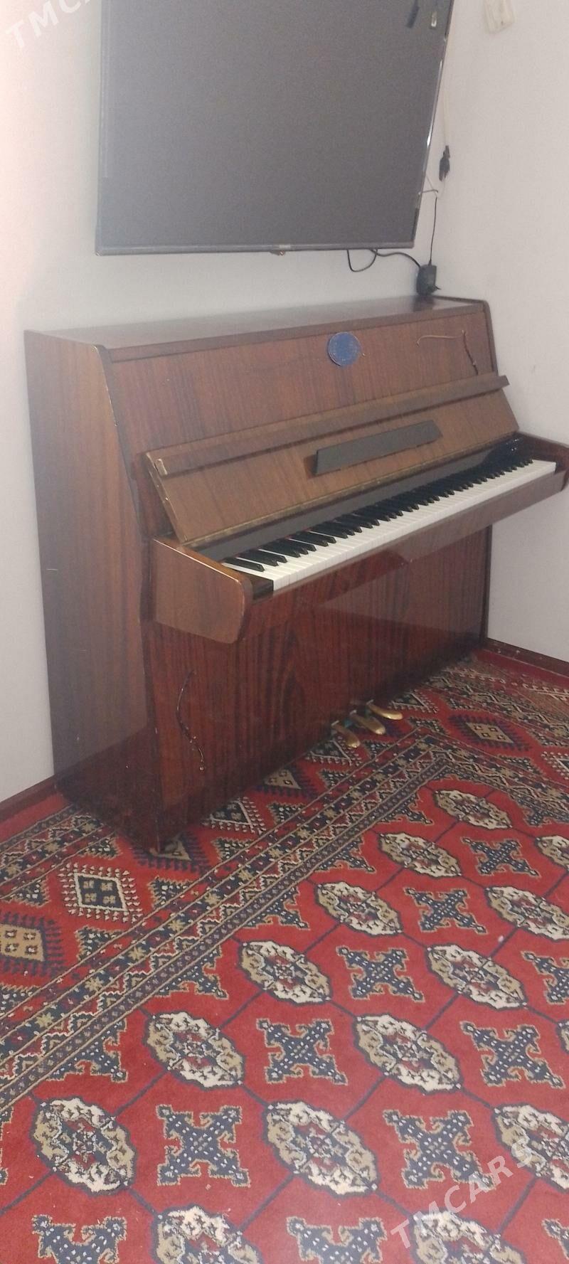 pianino - Гаудан "В" - img 6
