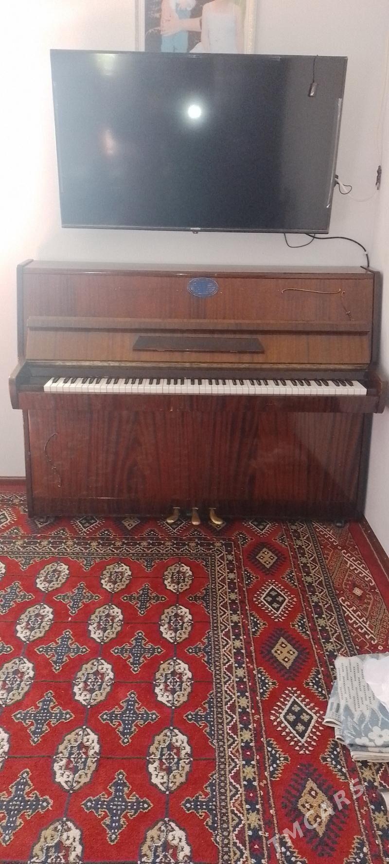 pianino - Гаудан "В" - img 5