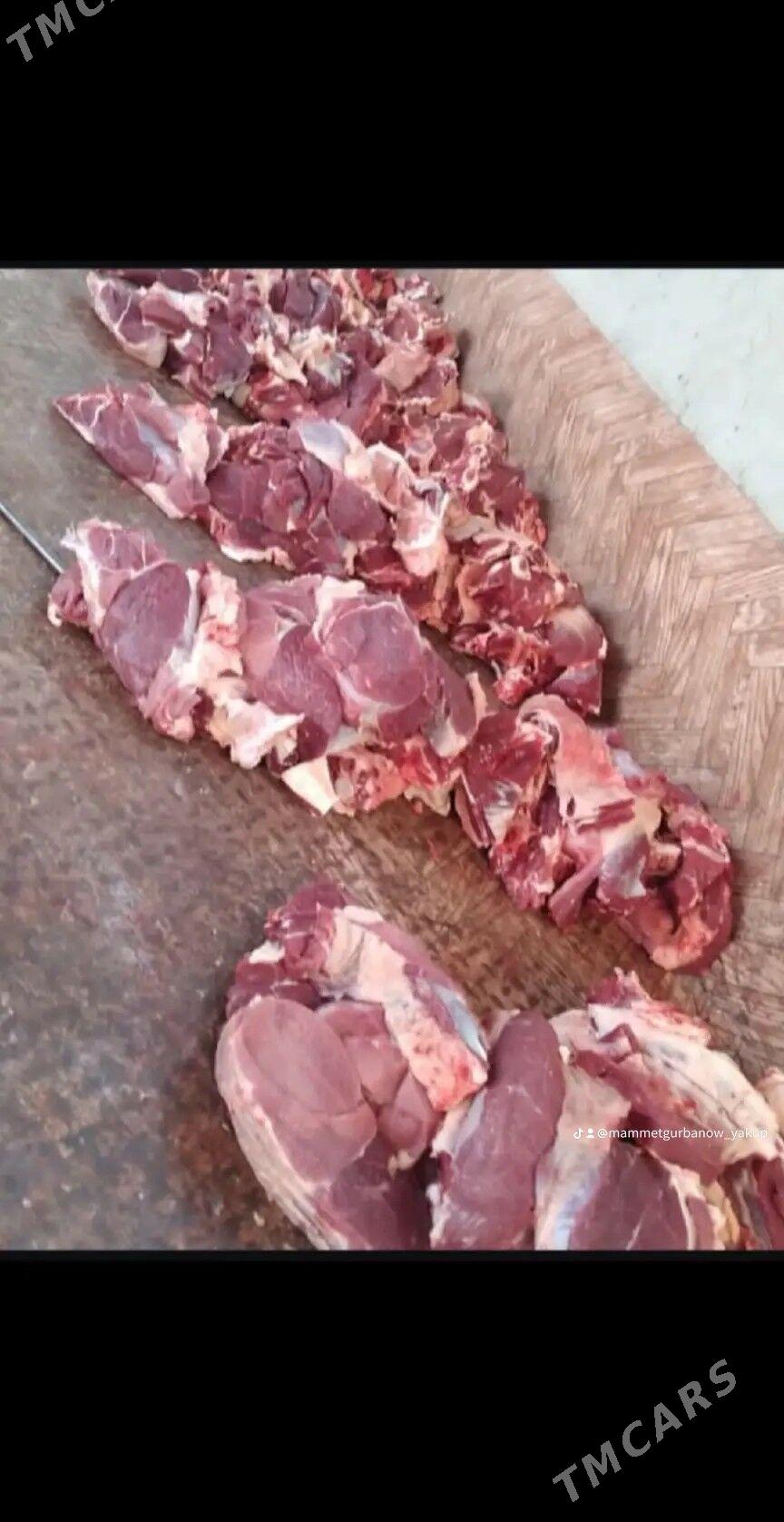 okuz gassap - Çoganly - img 2