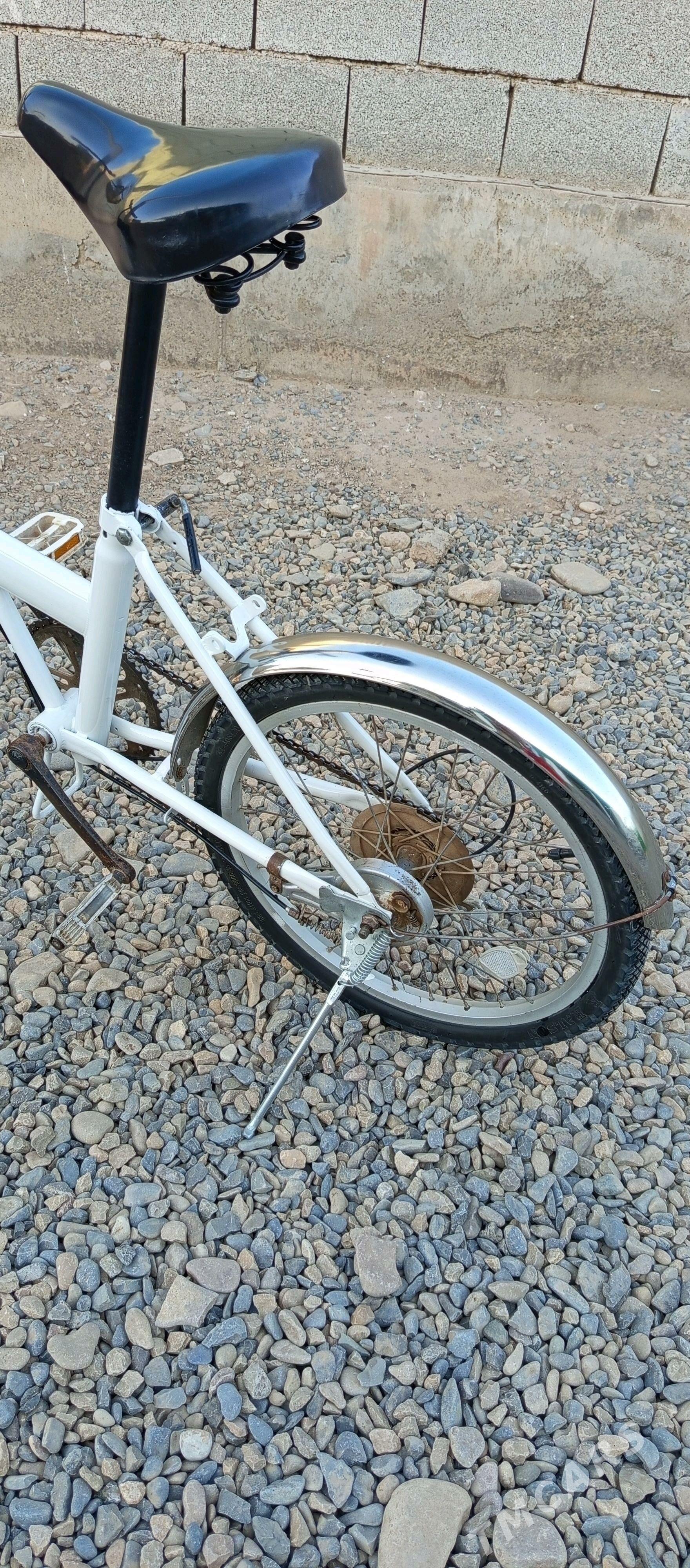 Kama tigir - Теджен - img 5