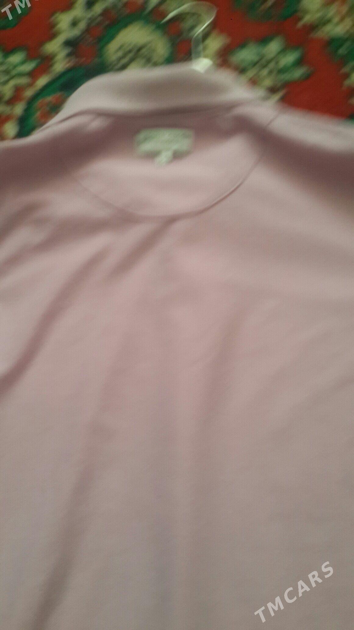 futbolka pierro cardin - Aşgabat - img 1