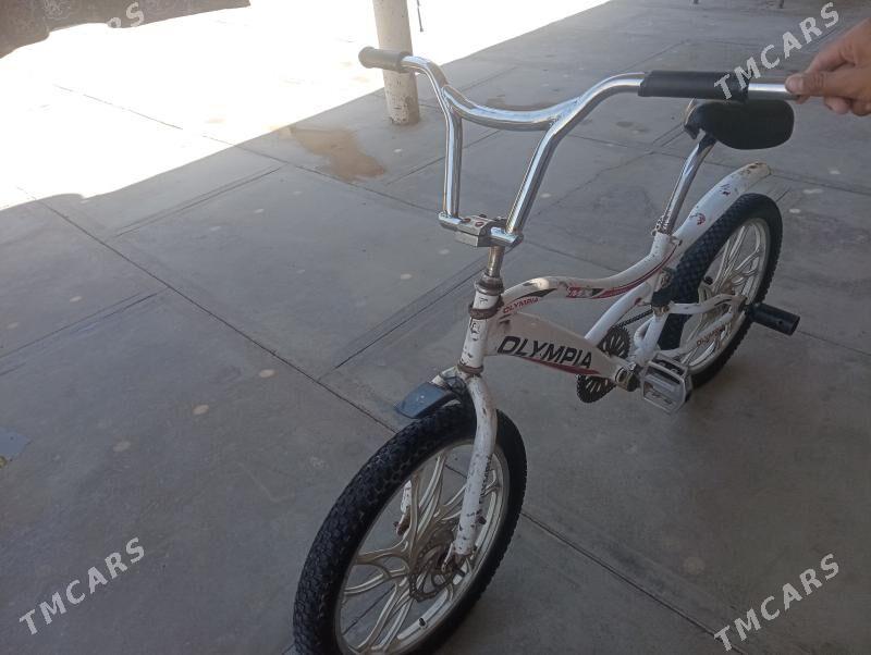 welik - Фарап - img 3