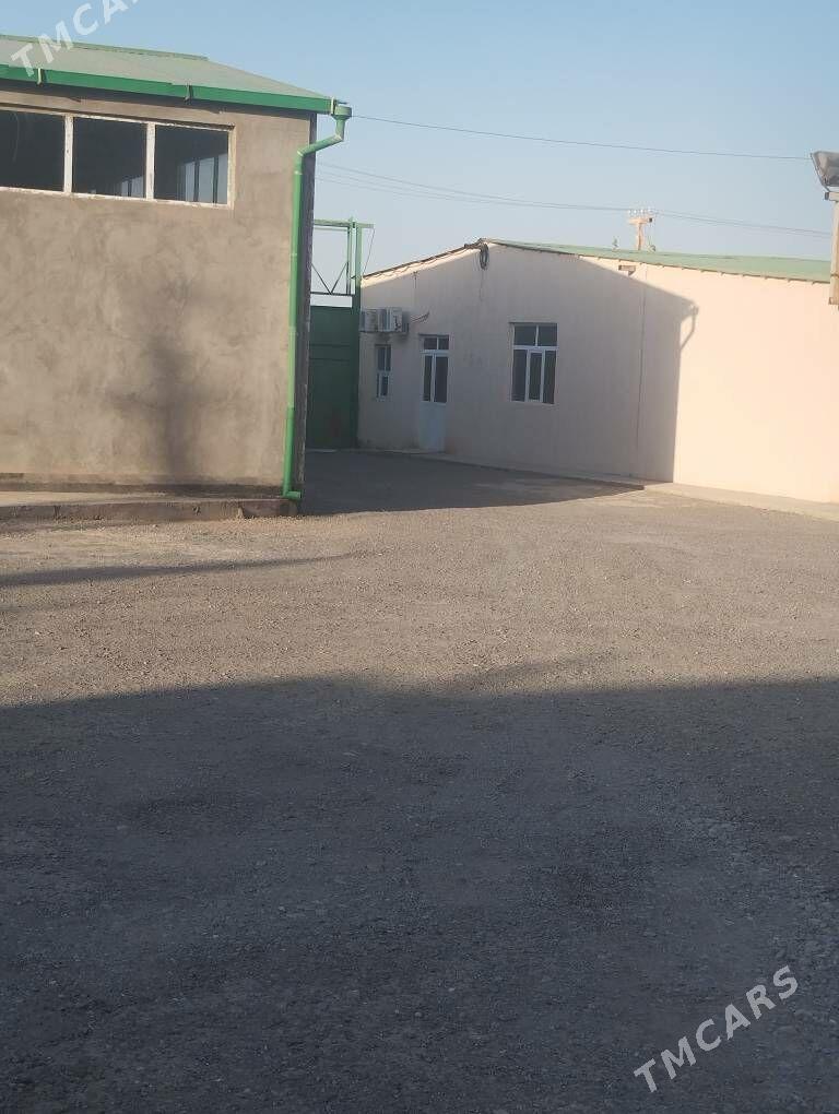 Satlyk sklat ammar 1 gekdar - Aşgabat - img 1