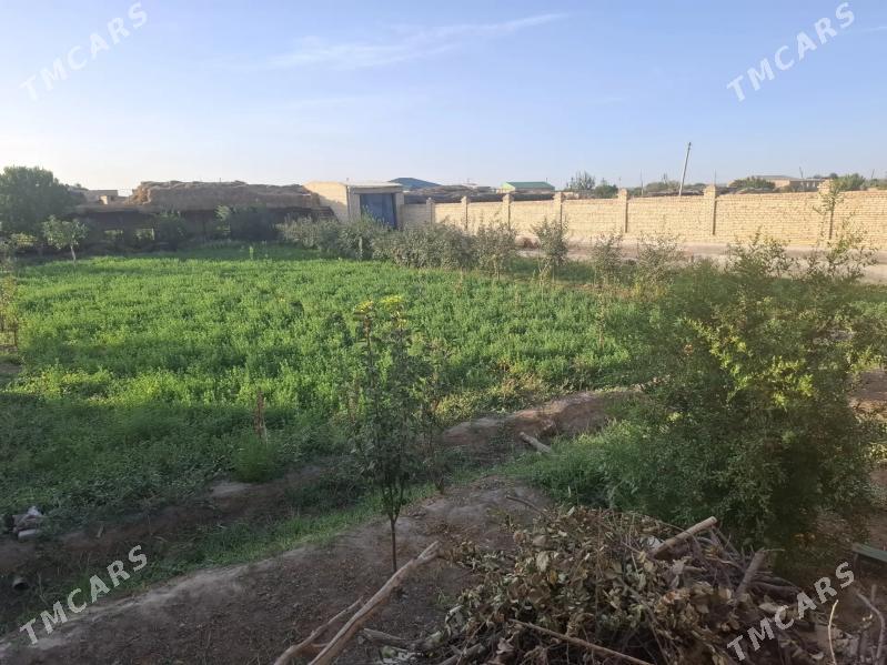 сатлык жай - Sakar - img 3