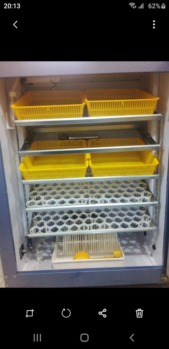 Enkubator - Büzmeýin - img 1