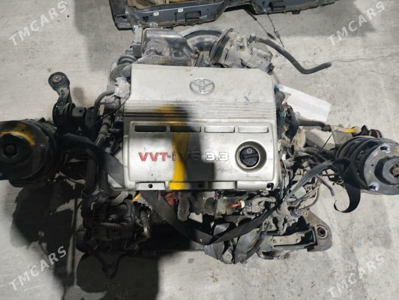 Sienna morda 99 TMT - Балканабат - img 3