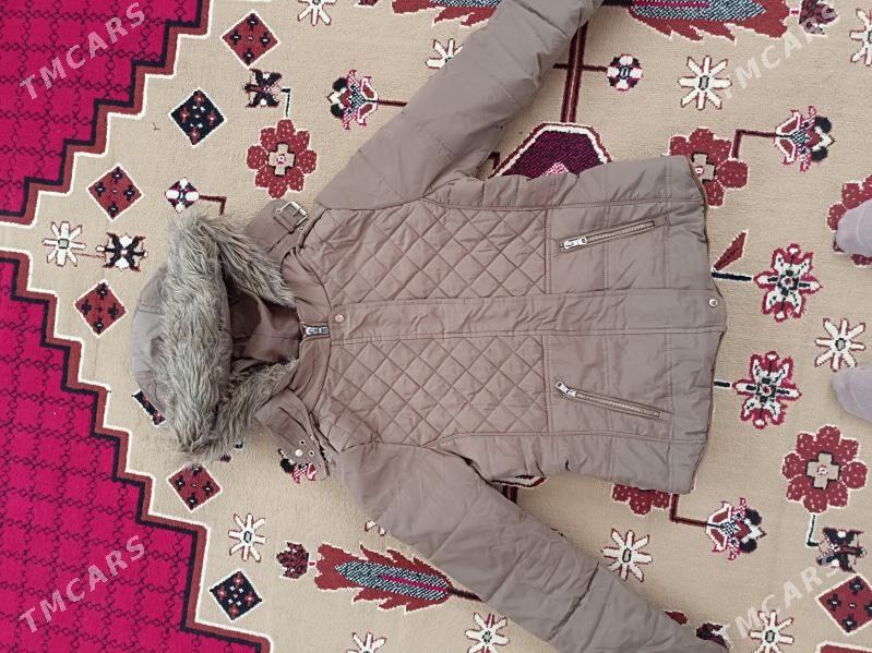 Куртки и ветровки - Туркменабат - img 2