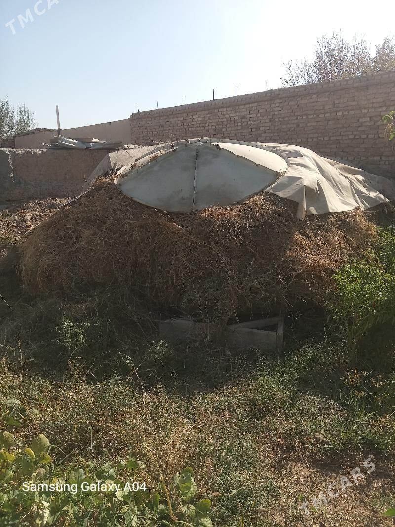 Хашал от - Туркменабат - img 2