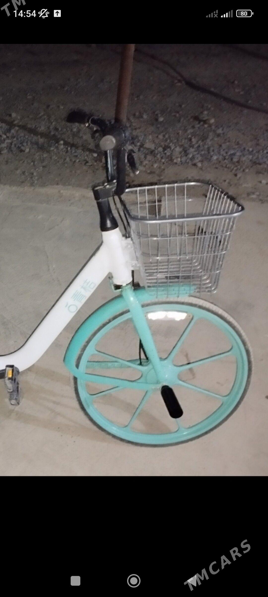 tigir yapon - Кака - img 3