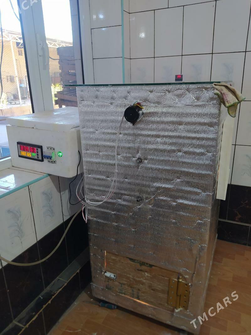 juje cykaryan gural - Мары - img 8