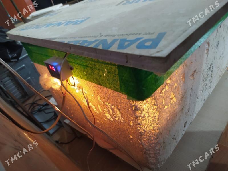 juje cykaryan gural - Мары - img 5