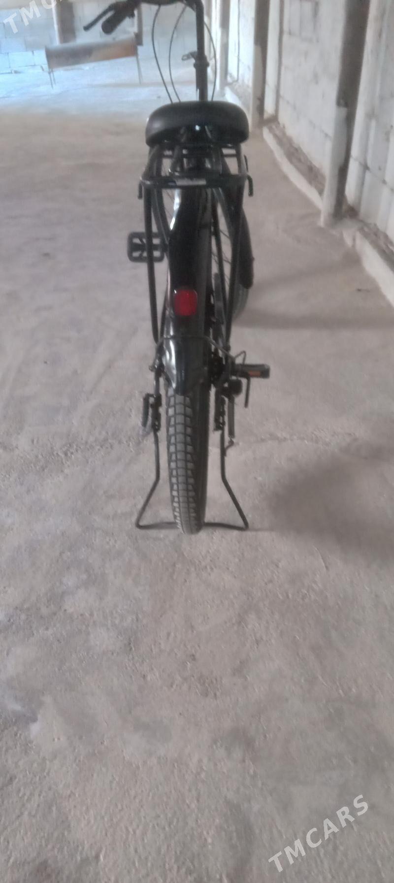 Tigir - Gökje - img 3