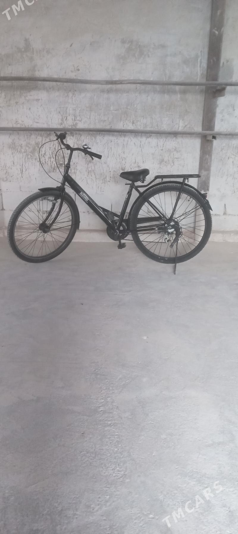 Tigir - Gökje - img 2