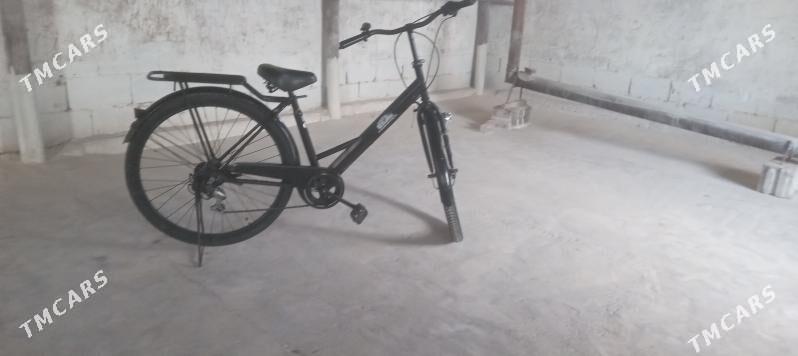 Tigir - Gökje - img 4