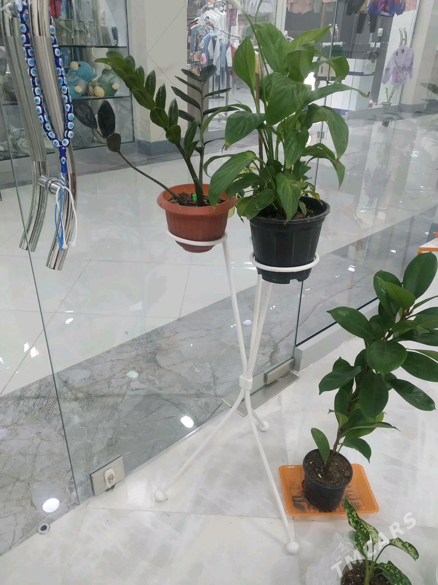 gül podstawka - Gökdepe - img 2