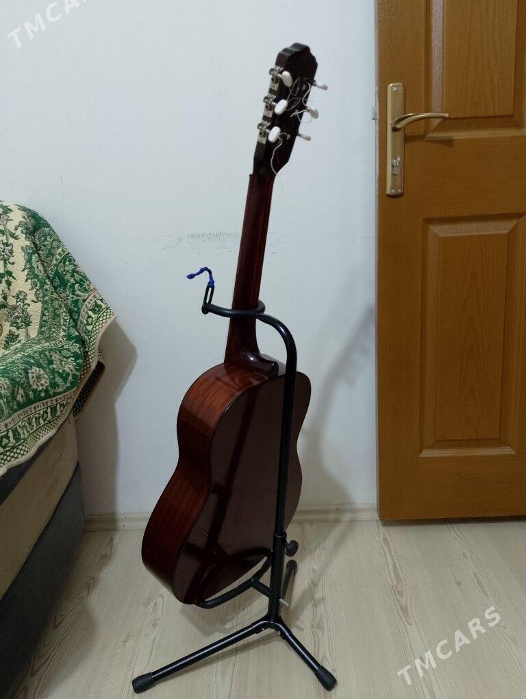 Gitara klassik Гитара - Ашхабад - img 5
