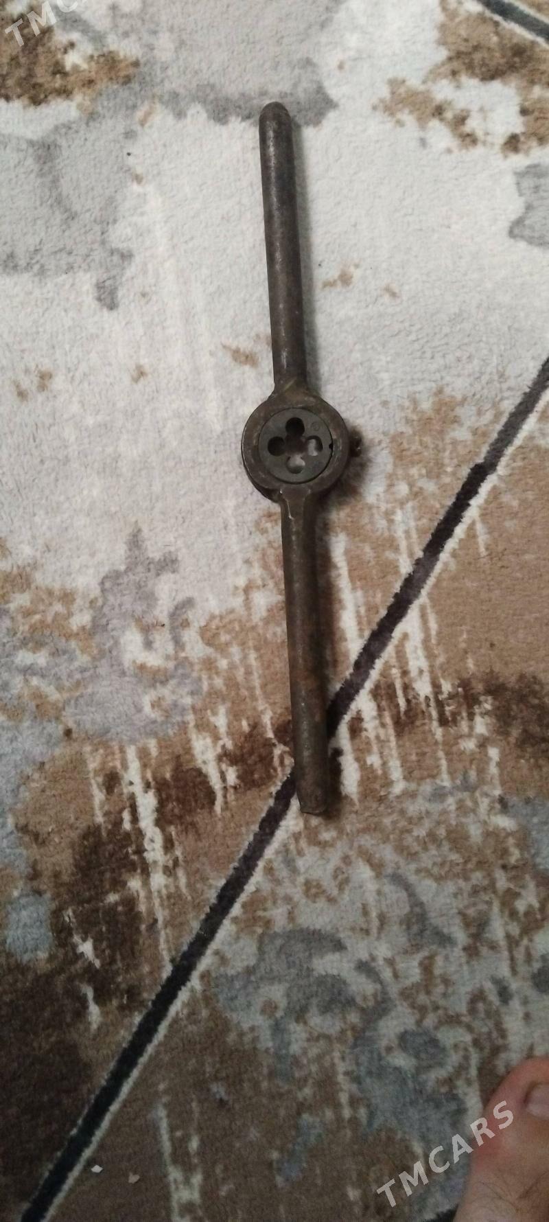 Метчик и Лерки - Туркменбаши - img 3