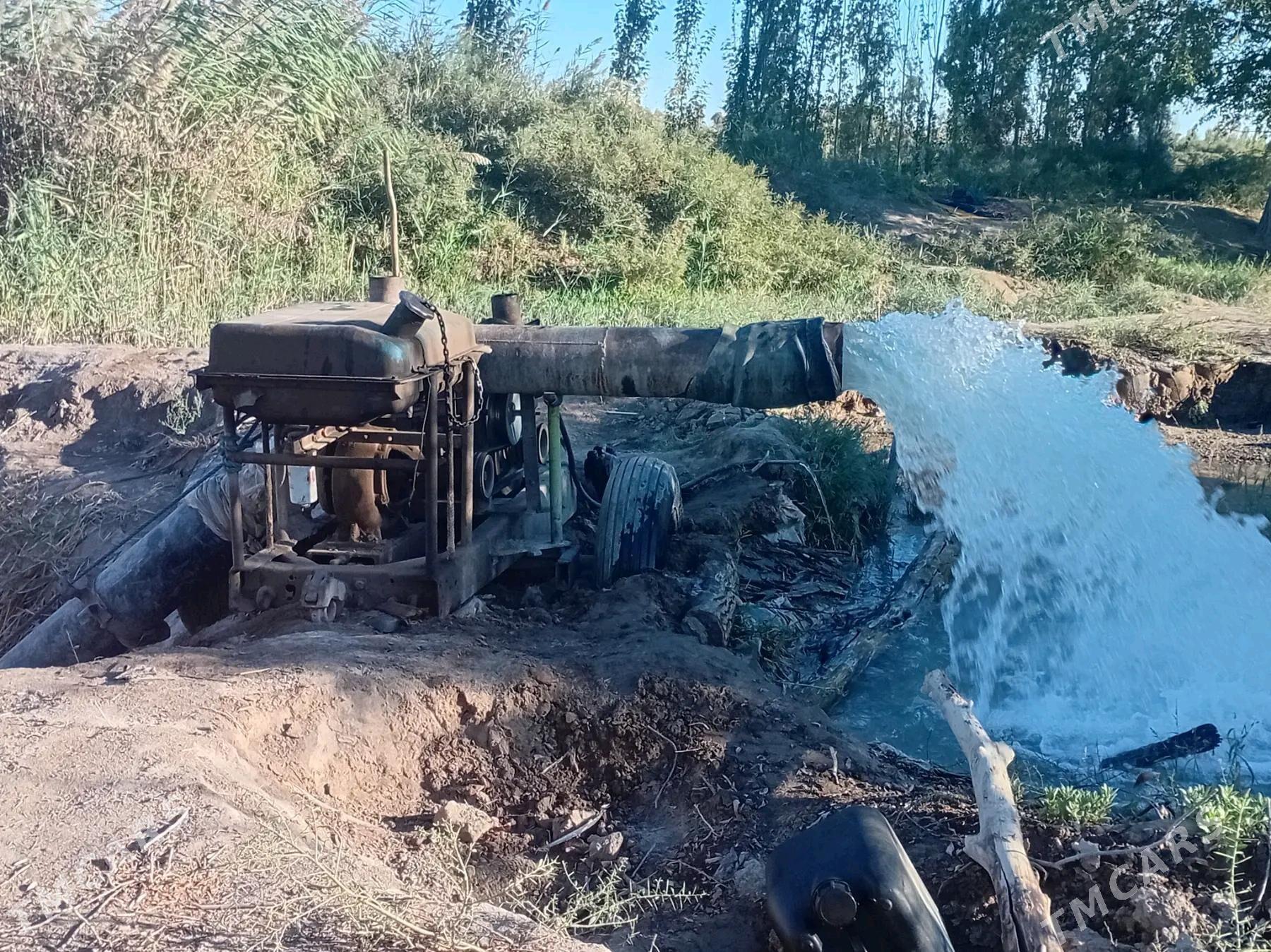 MTZ 80 2023 - 17 000 TMT - Gurbansoltan Eje - img 1