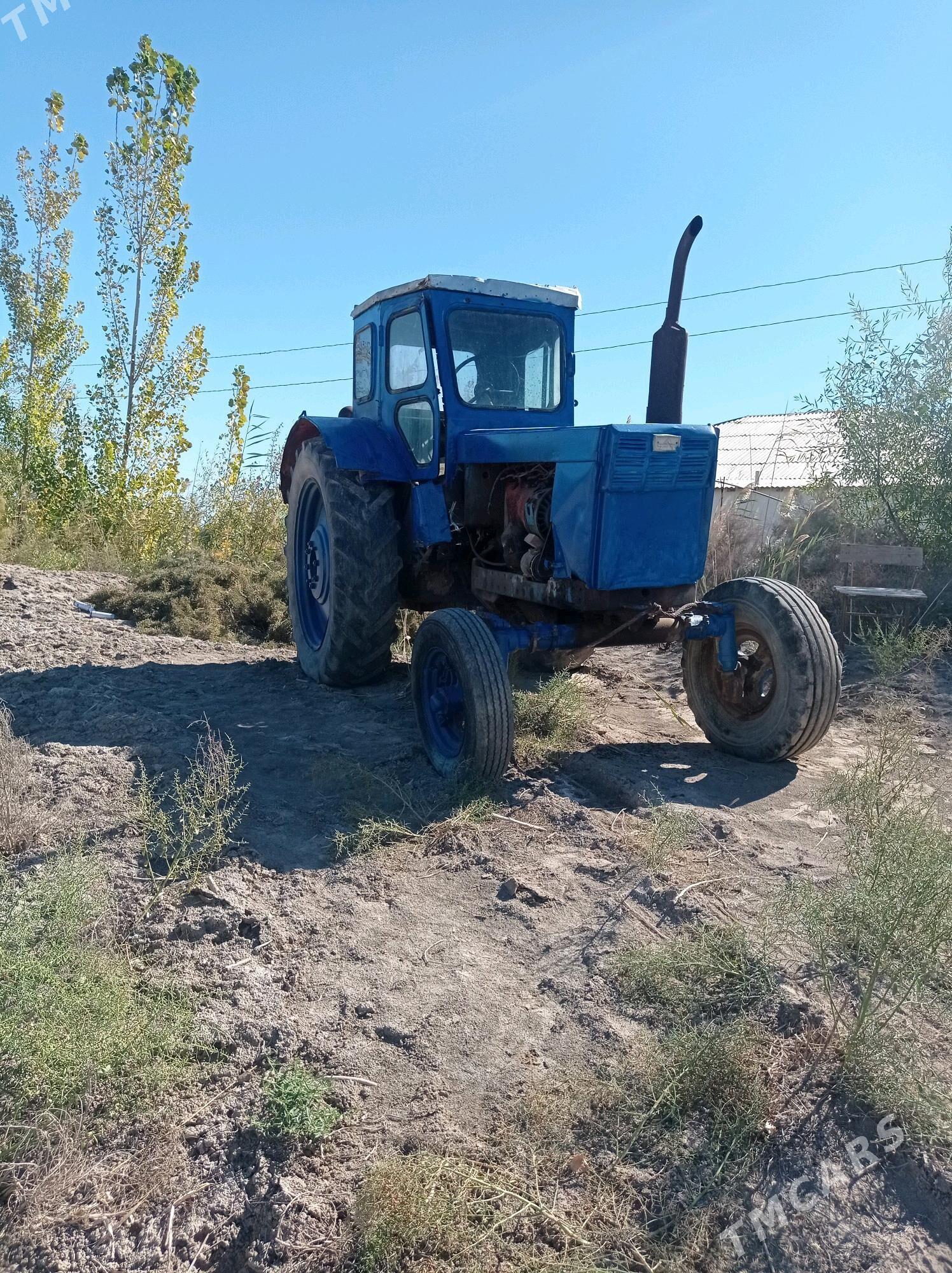 MTZ T-28 1987 - 30 000 TMT - Gubadag - img 4