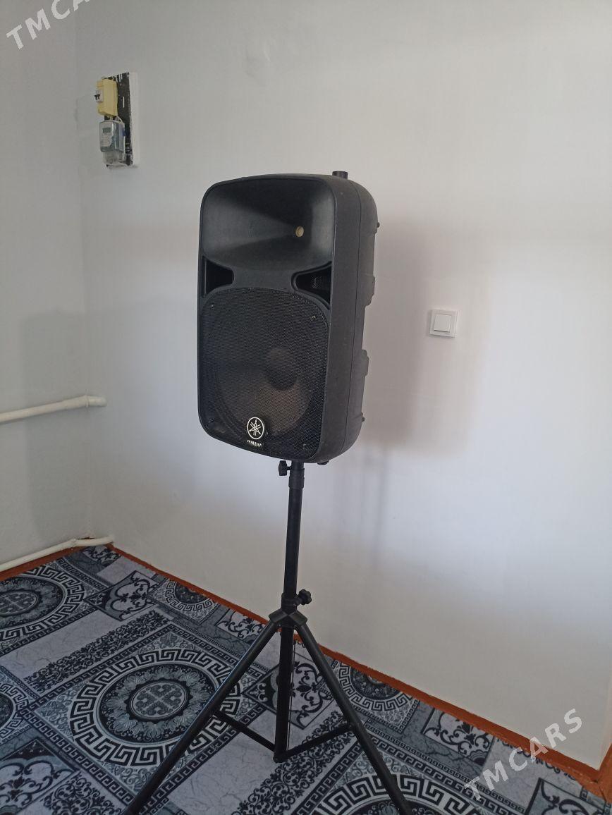 Samson kalonka - Boldumsaz - img 3