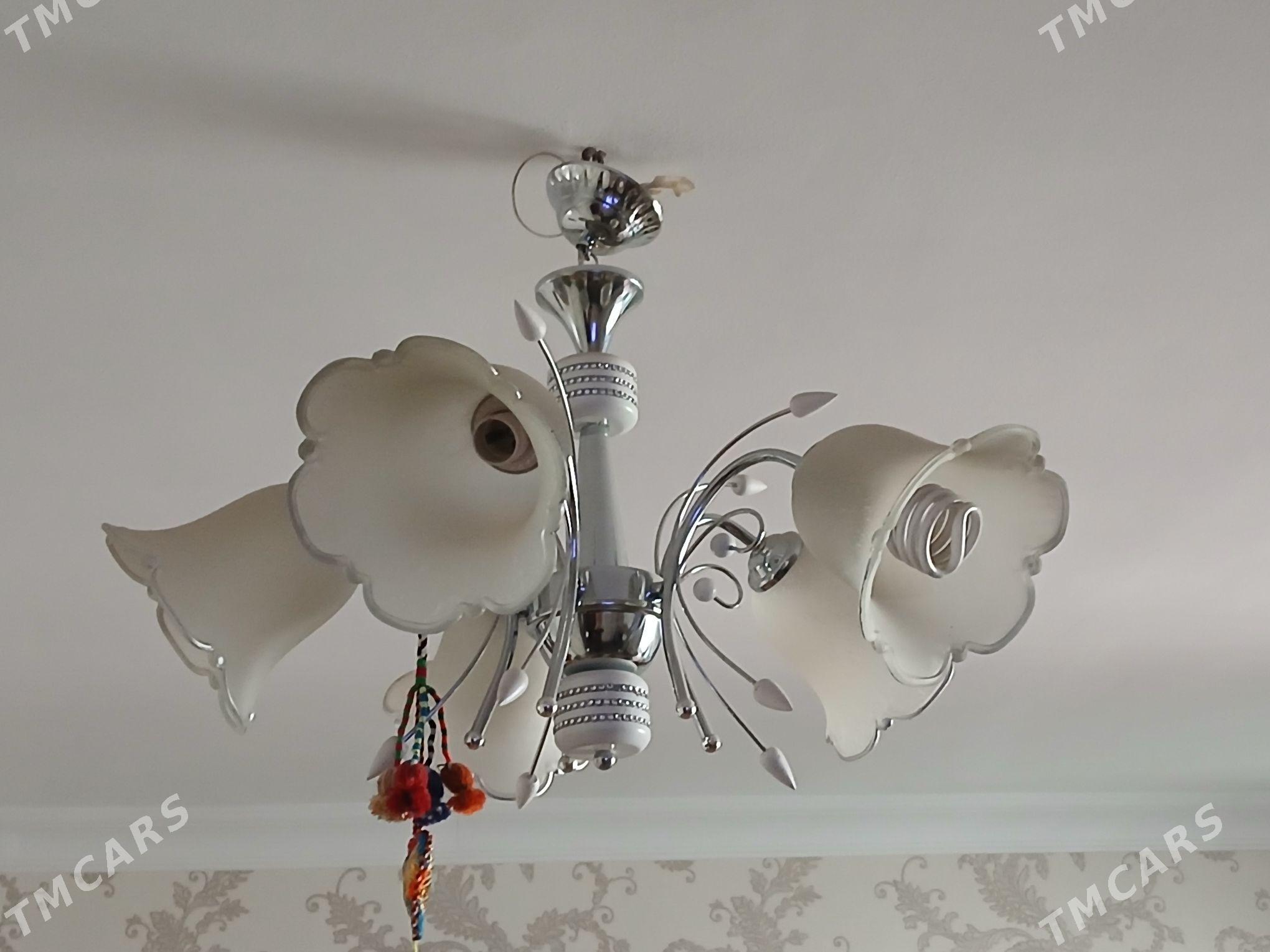 lustura - Ашхабад - img 1