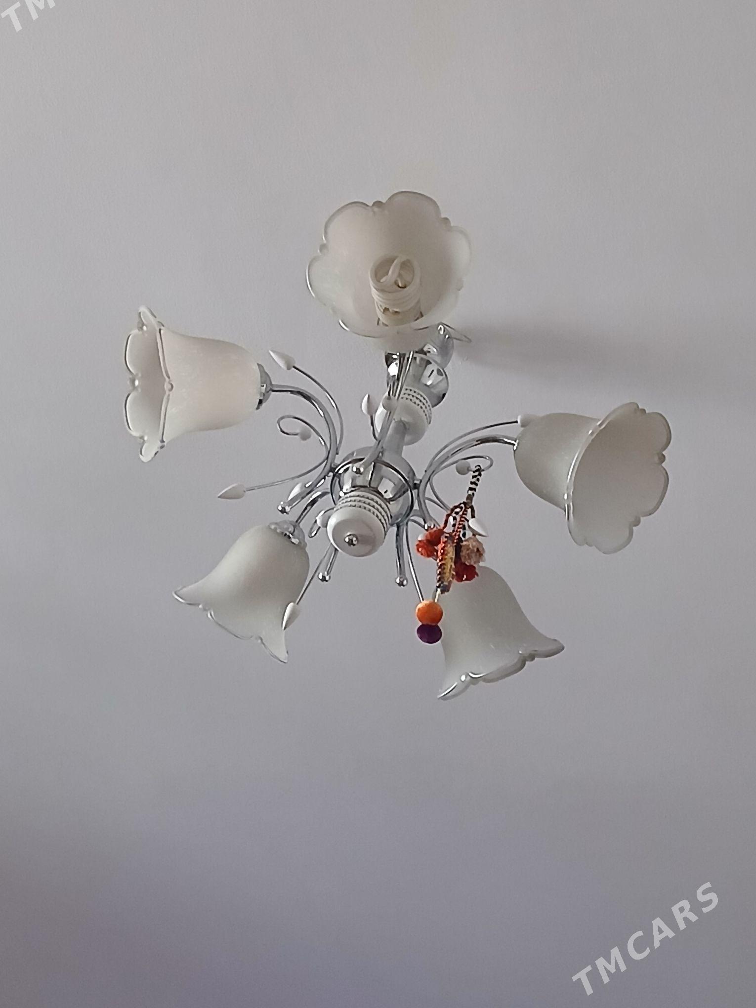 lustura - Ашхабад - img 2