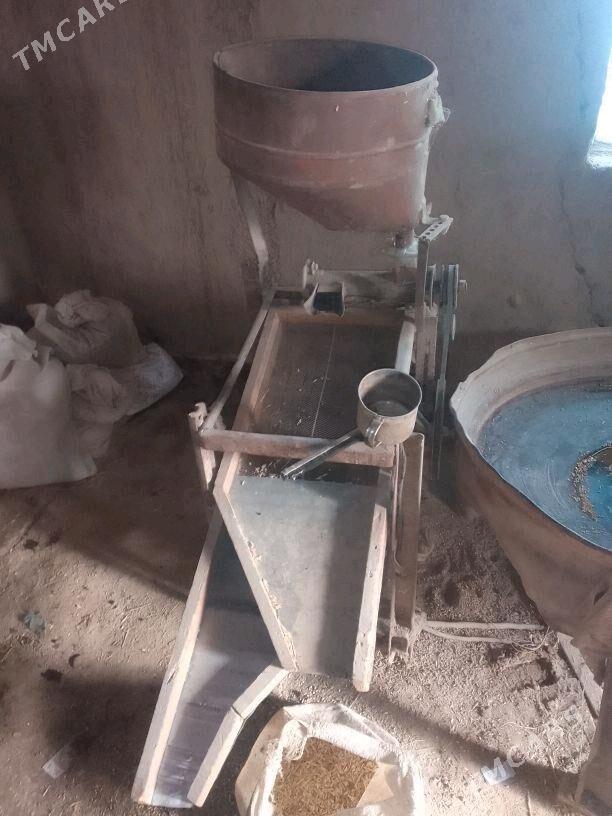 Haraz.juwaz - Кёнеургенч - img 6