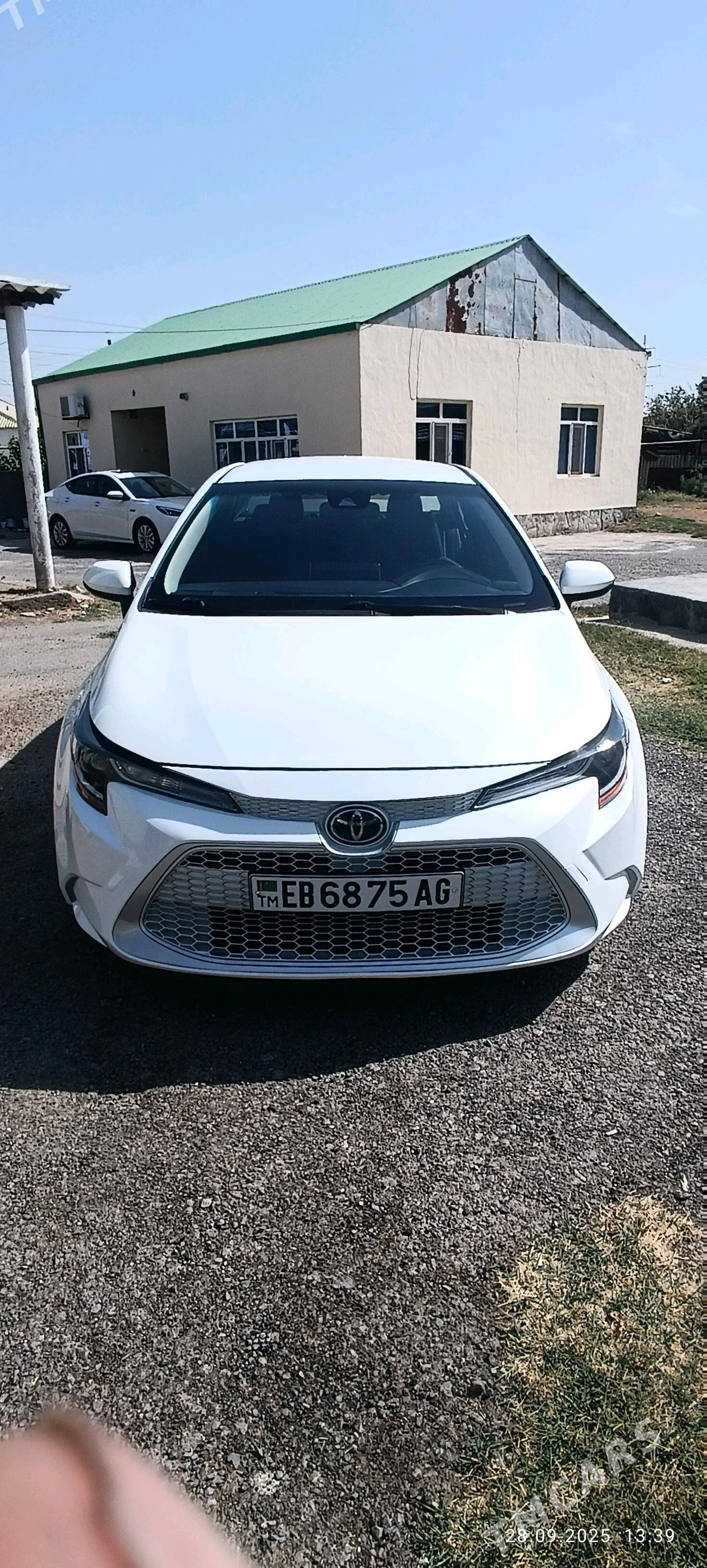 Toyota Corolla 2021 - 245 000 TMT - Гарадамак - img 2