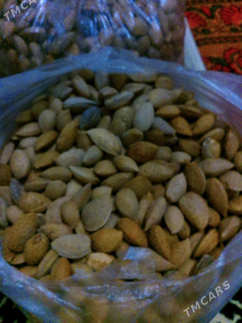 Dag mindaly - Aşgabat - img 1