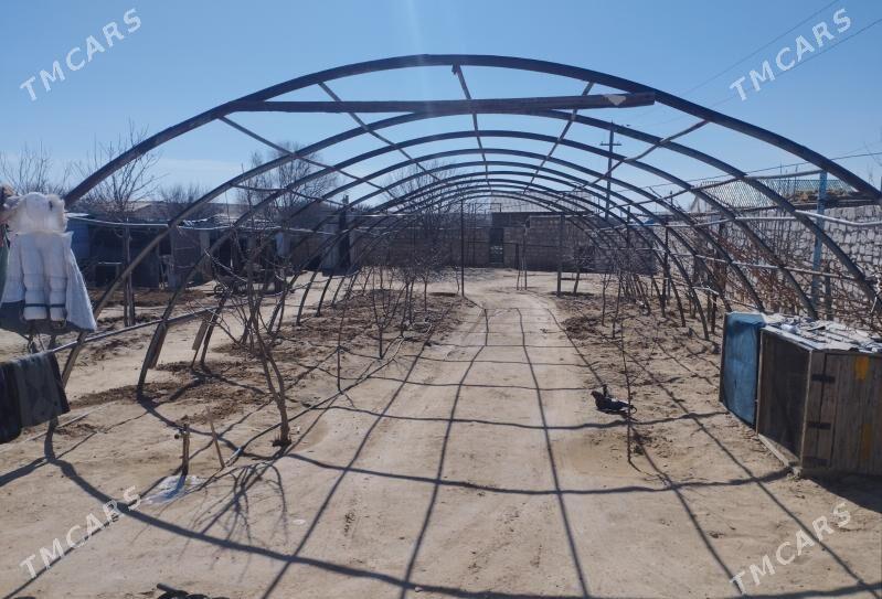 nawes - Türkmenbaşy - img 1