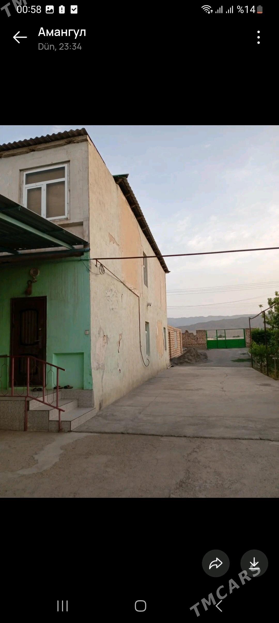 Satlyk jaÿ - Ýaşlyk - img 2