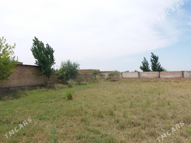 дача - Дашогуз - img 7