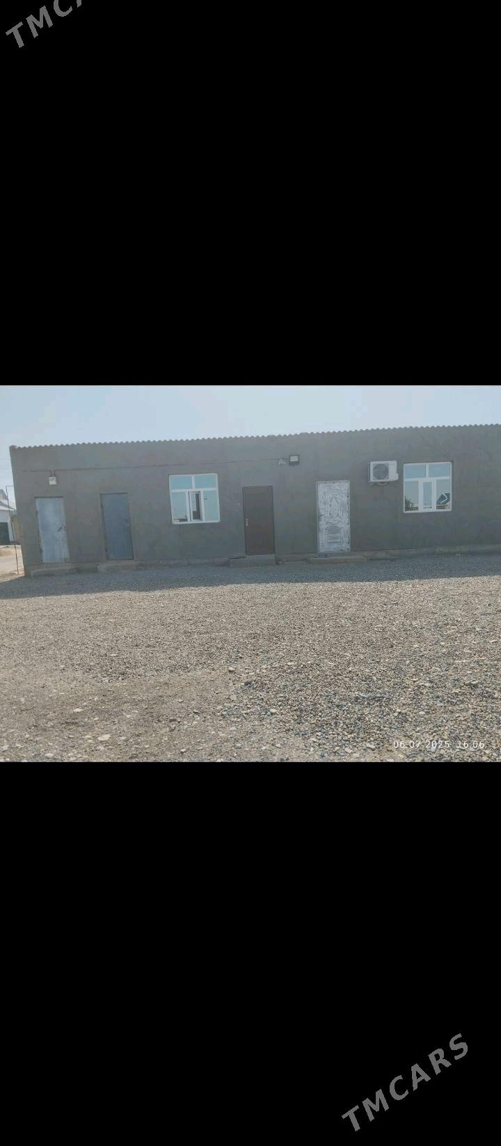 Jaý satlyk - Tejen - img 3
