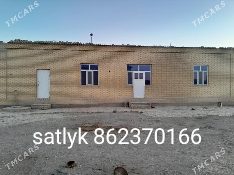 satlyk jay - Sakarçäge - img 3