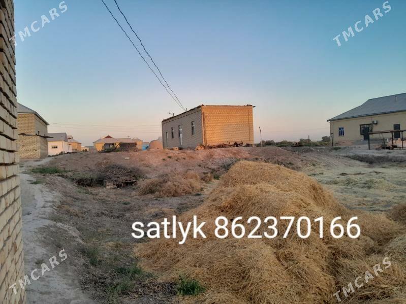 satlyk jay - Sakarçäge - img 1